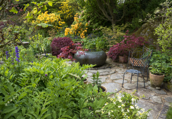 Taman dengan perpaduan bunga berwarna-warni dan tanaman rindang